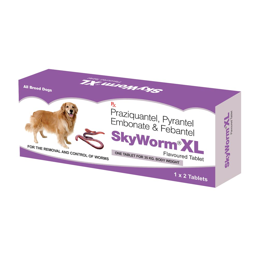 Skyec Skyworm XL Dog Deworming Tablet (pack of 2 tablets)