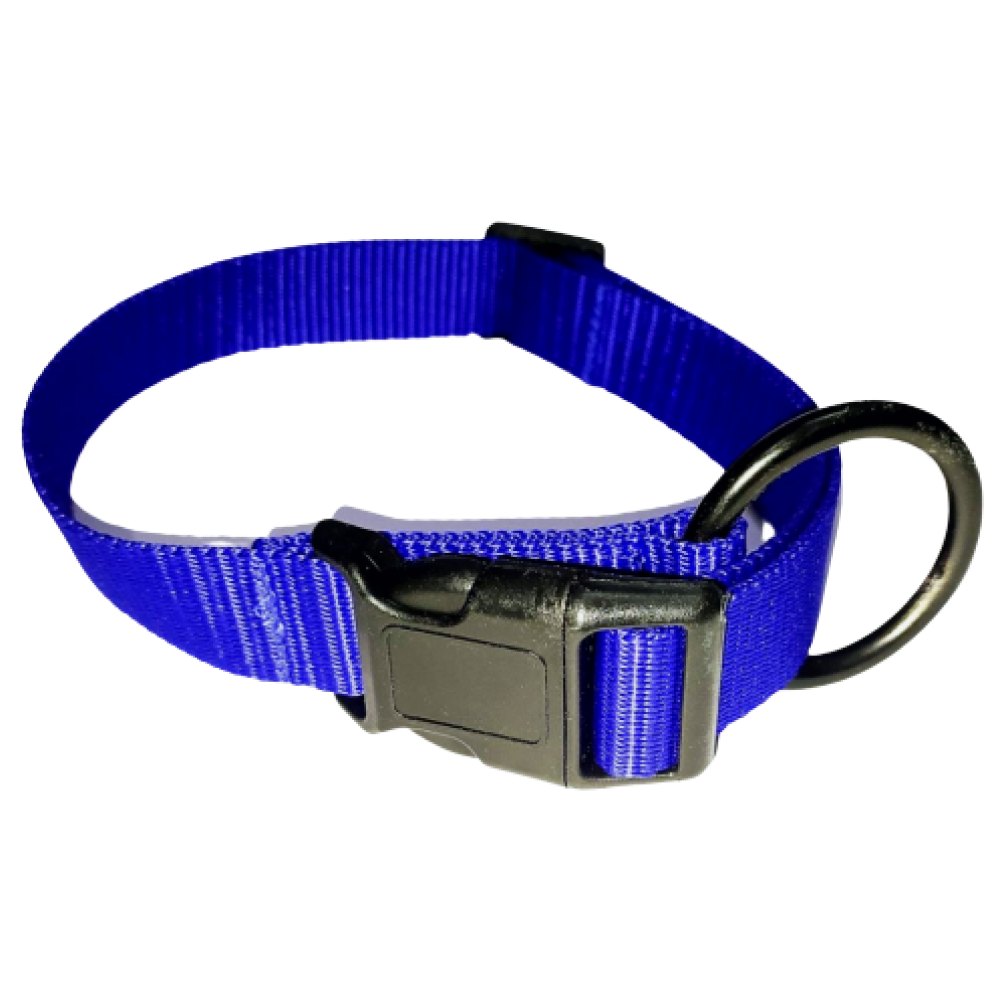 Vama Leathers All Weather Durable Everyday Collar for Dogs (Electric Blue)