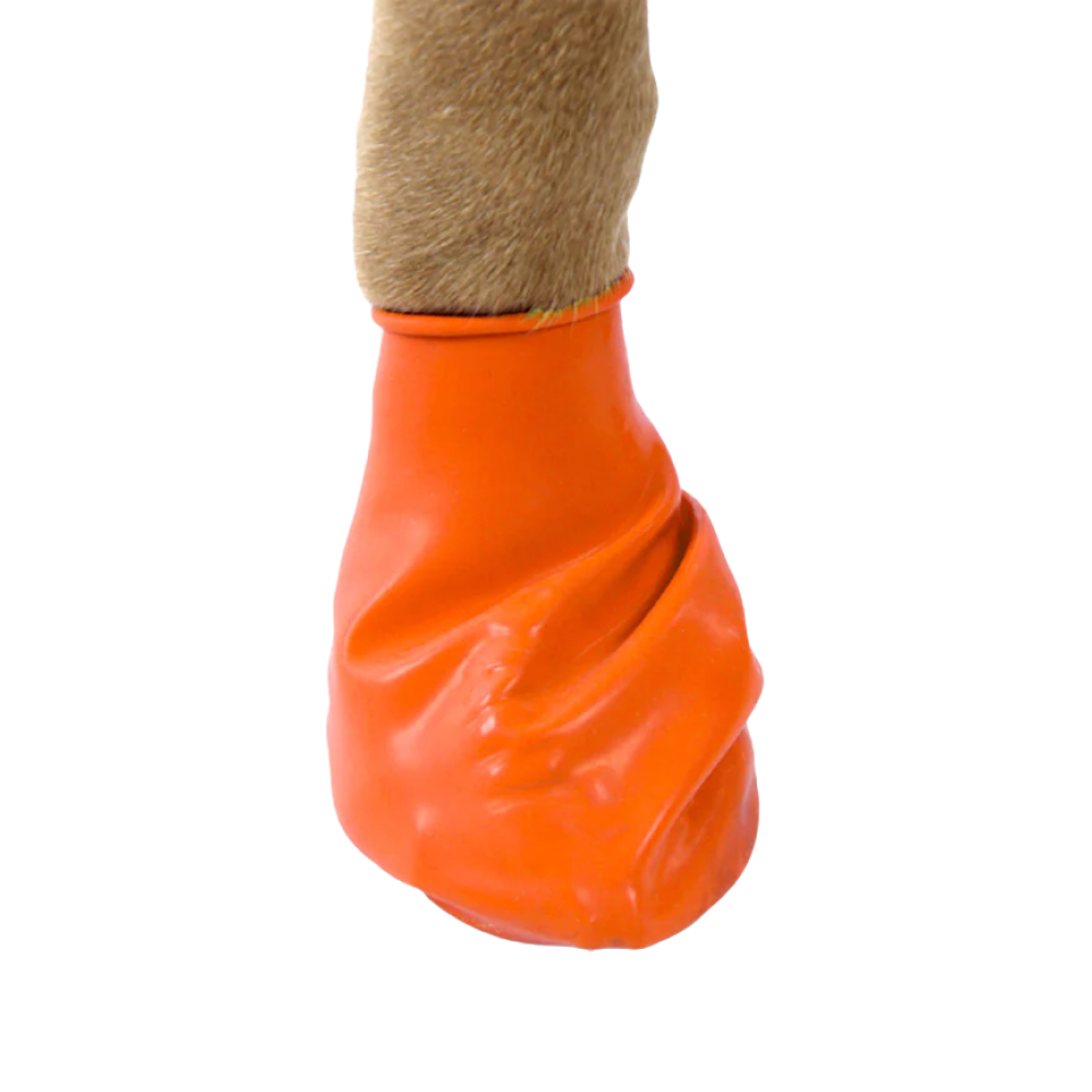 Protex PawZ Boots for Dogs (Orange)