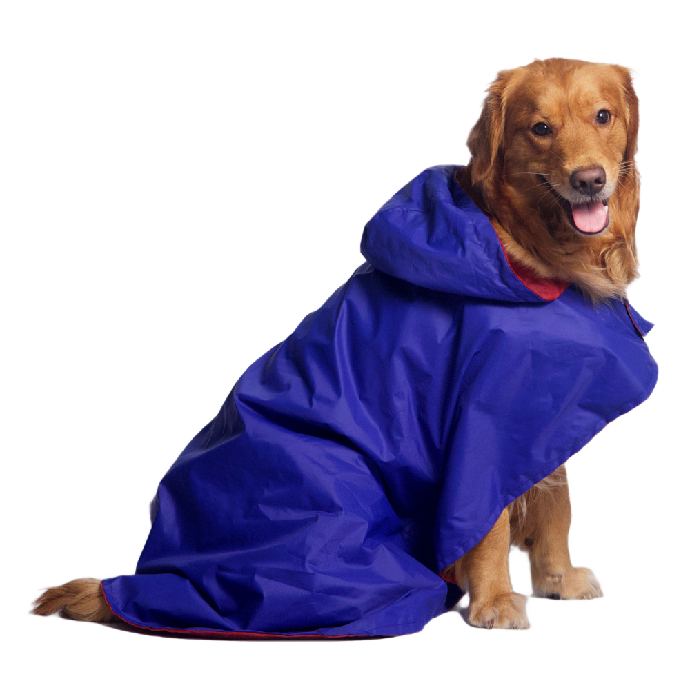 Pet Set Go Cape Style Raincoat for Dogs (Blue) Dogs-Clothing & Accessories Pet Set Go 3XL