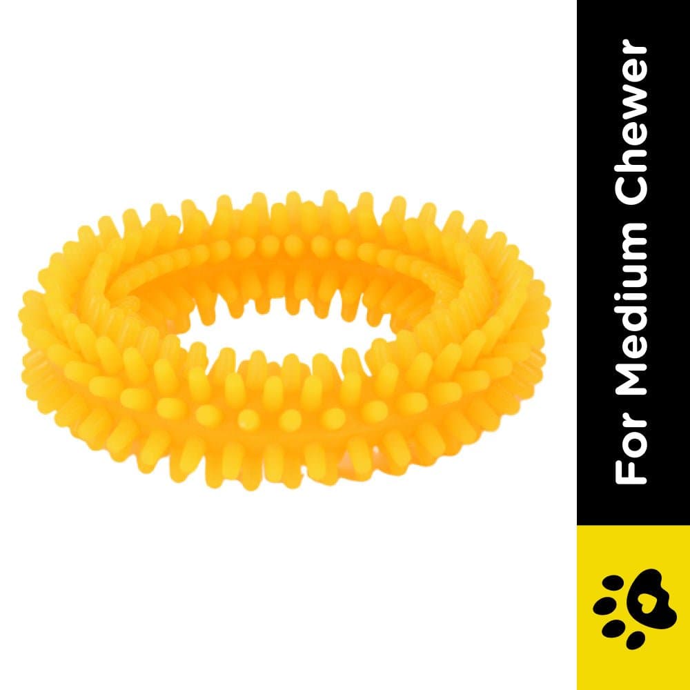 Basil Teething Ring Chew Toy and Squeaky Rubber Ball Toy Combo for Dogs