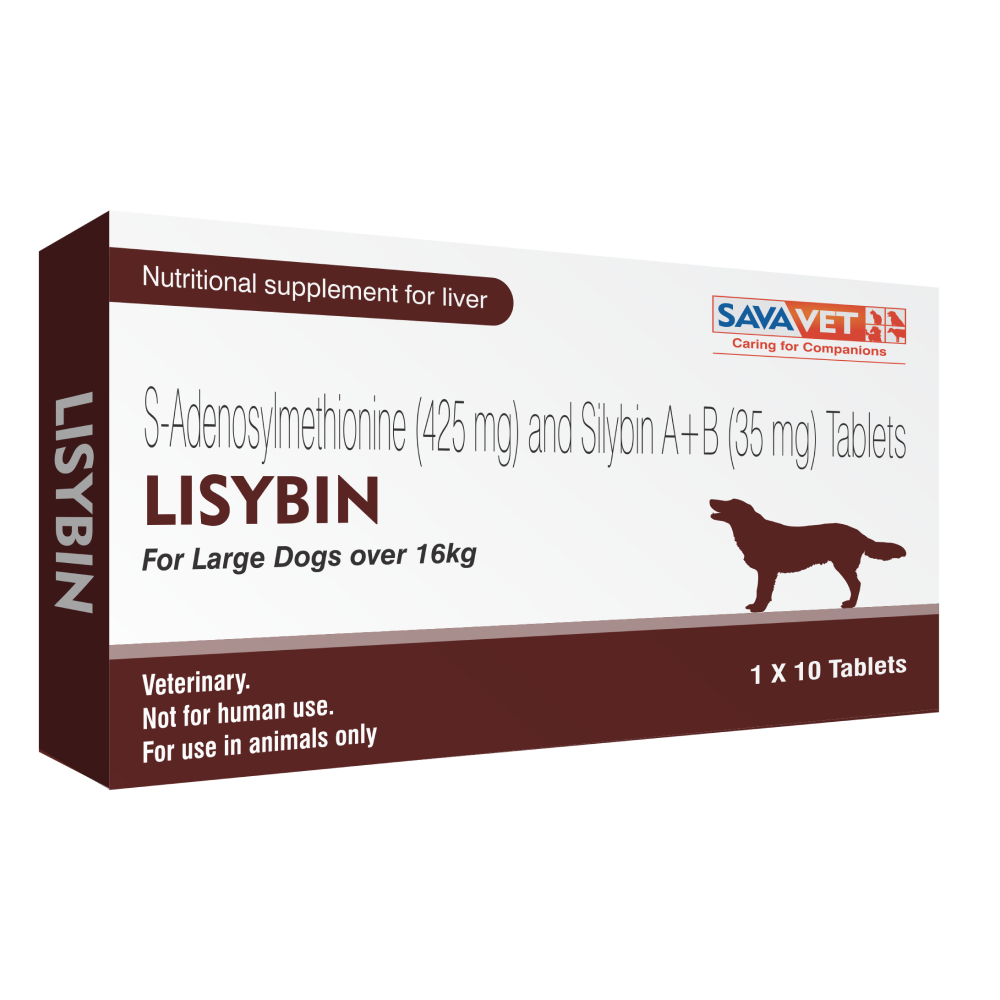 Savavet Lisybin Tablet (pack of 10 tablets) Dogs-Pharmacy Savavet Pharmacy Large Dog