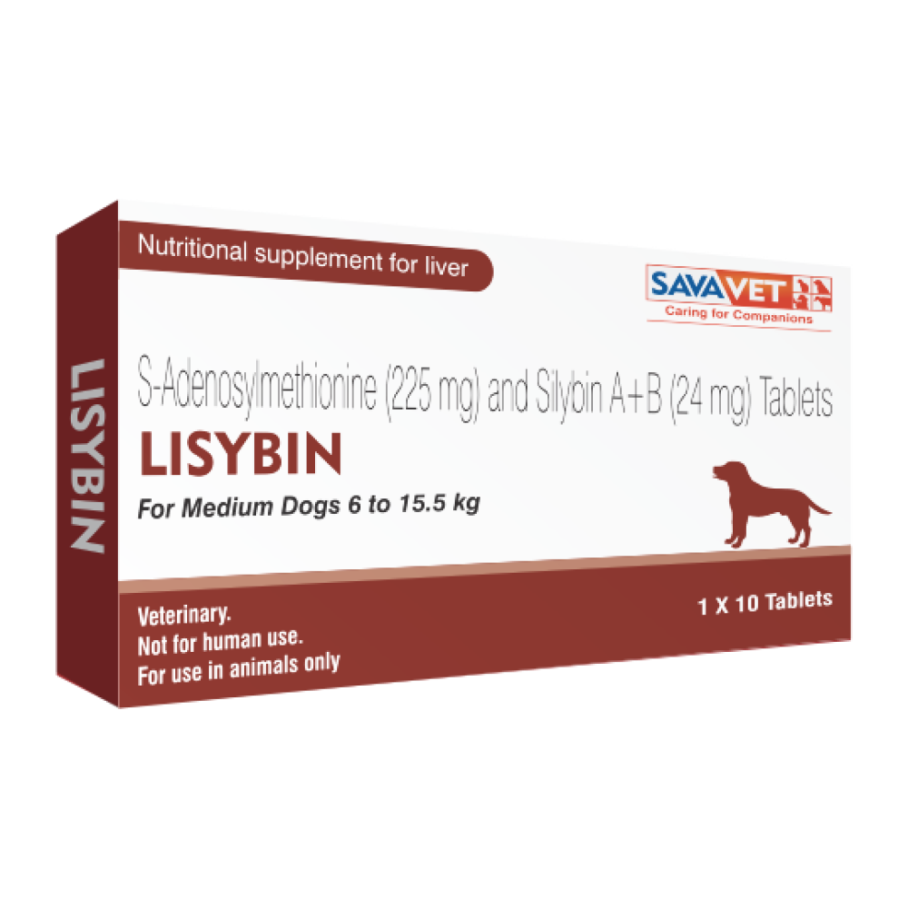 Savavet Lisybin Tablet (pack of 10 tablets) Dogs-Pharmacy Savavet Pharmacy Medium Dog