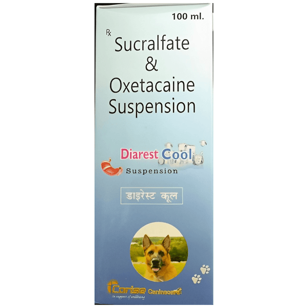 Royal Canin Veterinary Diet Gastrointestinal Dog Wet Food (400g) and Corise Diarest Cool Syrup (Sucralfate & Oxetacaine) (100ml) Combo