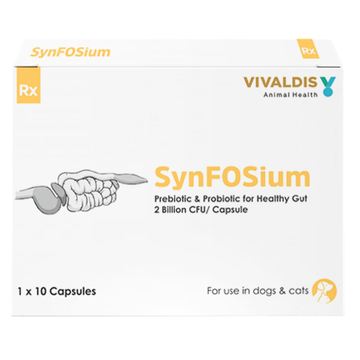 Vivaldis Synfosium Pre Probiotic Capsule for Dogs & Cats