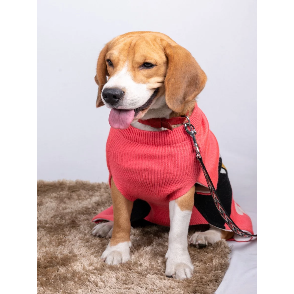Petsnugs Bones and Paws Sweater for Dogs and Cats (Pink)