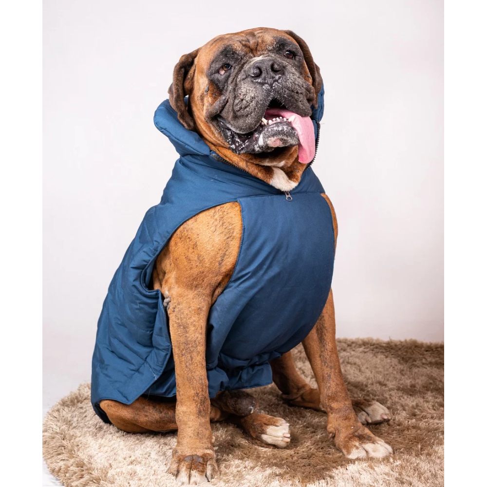 Petsnugs Water Resistant Jackets for Dogs and Cats (Blue)