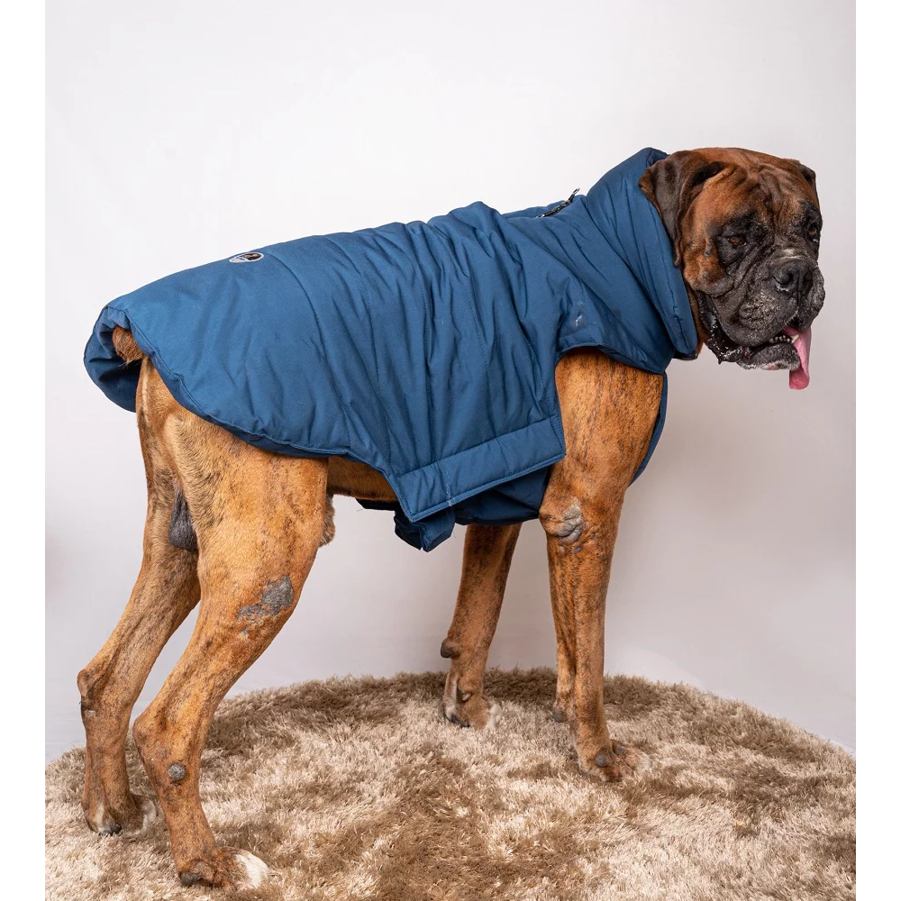 Petsnugs Water Resistant Jackets for Dogs and Cats (Blue)