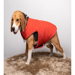 Petsnugs Water Resistant Jackets for Dogs and Cats (Rust)