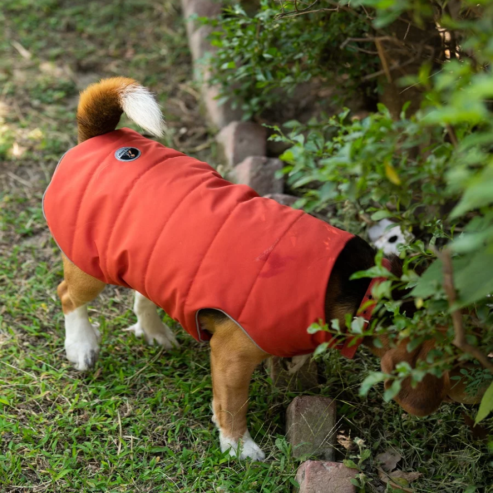 Petsnugs Water Resistant Jackets for Dogs and Cats (Rust) | Supertails