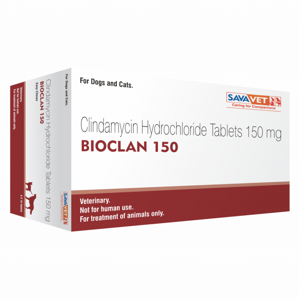 Savavet Bioclan (Clindamycin) Tablet for Dogs and Cats (pack of 10 tablets) Both-Pharmacy Savavet Pharmacy 150mg