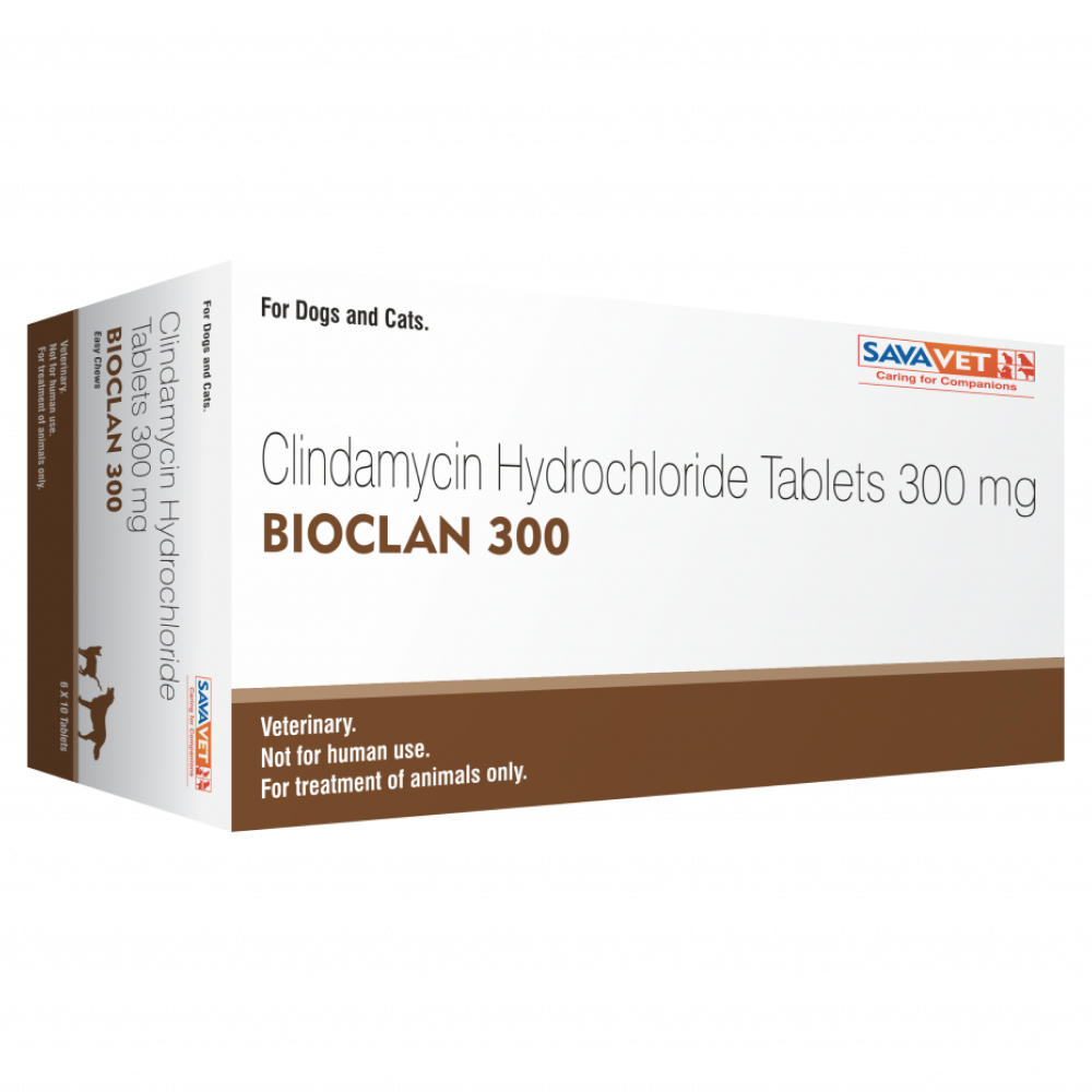 Savavet Bioclan (Clindamycin) Tablet for Dogs and Cats (pack of 10 tablets) Both-Pharmacy Savavet Pharmacy 300mg
