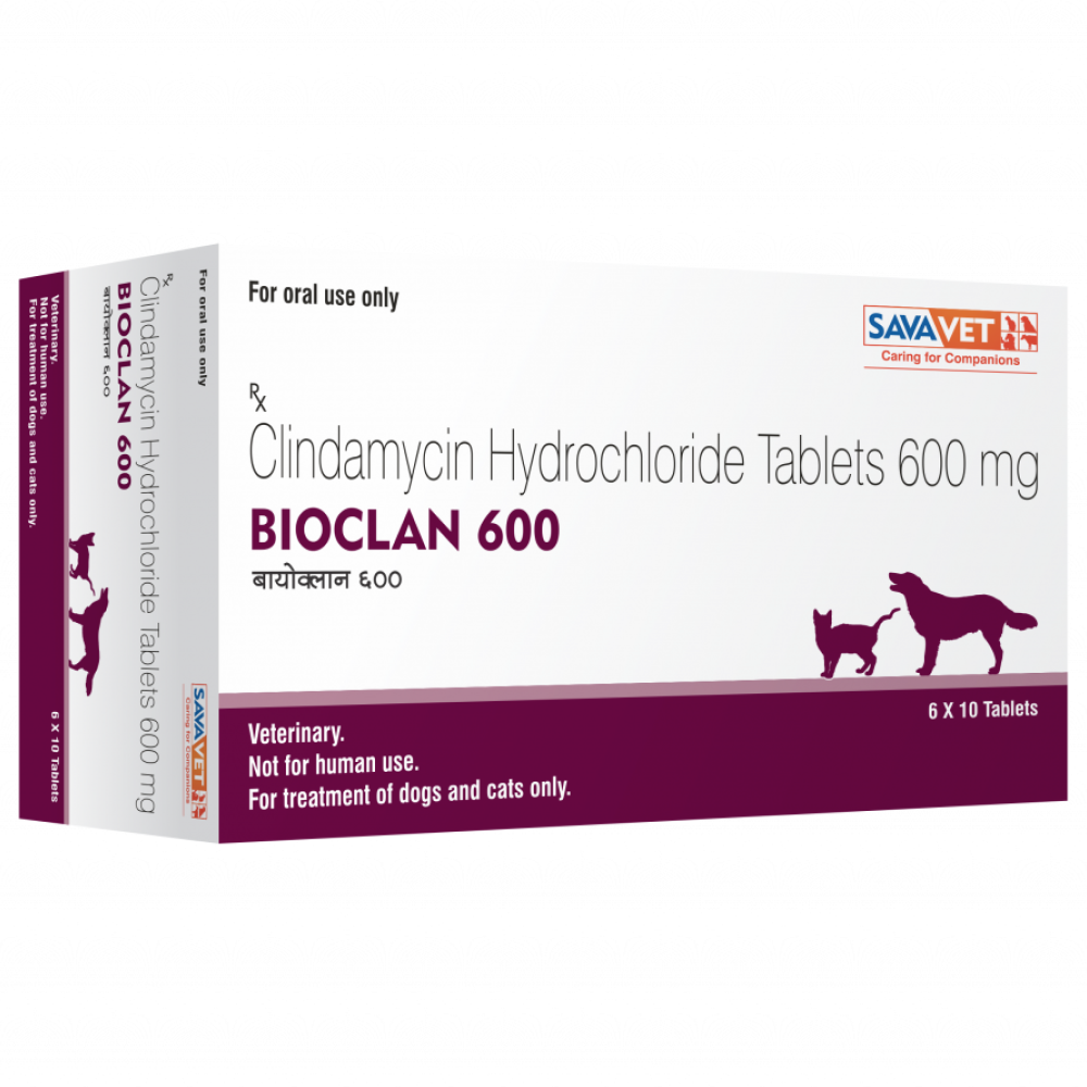 Savavet Bioclan (Clindamycin) Tablet for Dogs and Cats (pack of 10 tablets) Both-Pharmacy Savavet Pharmacy 600mg