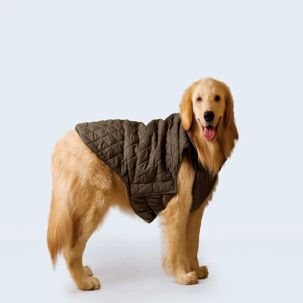 Petsnugs Quilted Jacket for Dogs and Cats (Olive Green)