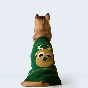 Petsnugs Christmas Reindeer Sweater for Dogs and Cats (Dark Green)