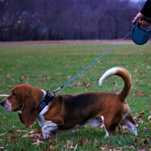 Kong Terrain Retractable Leash for Dogs and Cats (Blue)