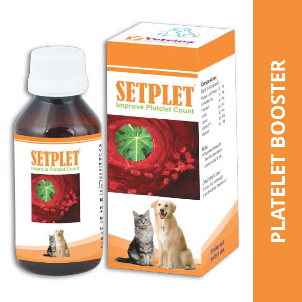 Vetrina Setplet Syrup (100ml) Both-Pharmacy Vetrina Pharmacy 100mL