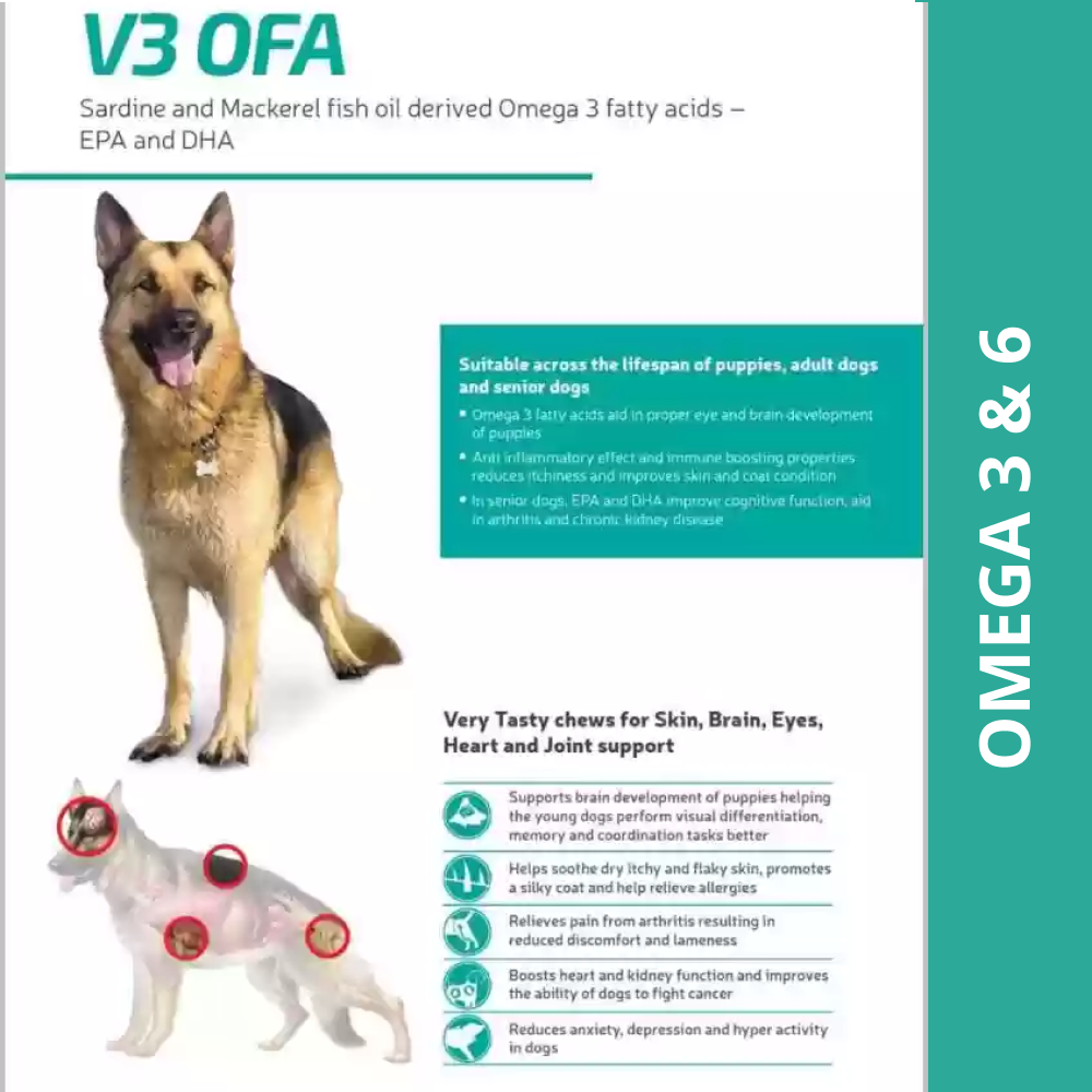 Vvaan V3 OFA Tablet Omega 3 & 6 Supplements for Dogs (pack of 40 tablets) Dogs-Pharmacy Vvaan Pharmacy