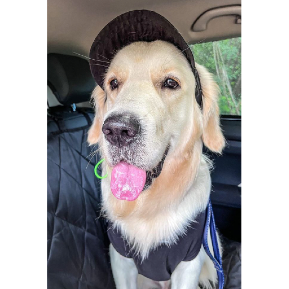 Dogobow Baseball Cap for Dogs (Black) (Get a Bow Free) Dogs-Clothing & Accessories Dogobow Dropship