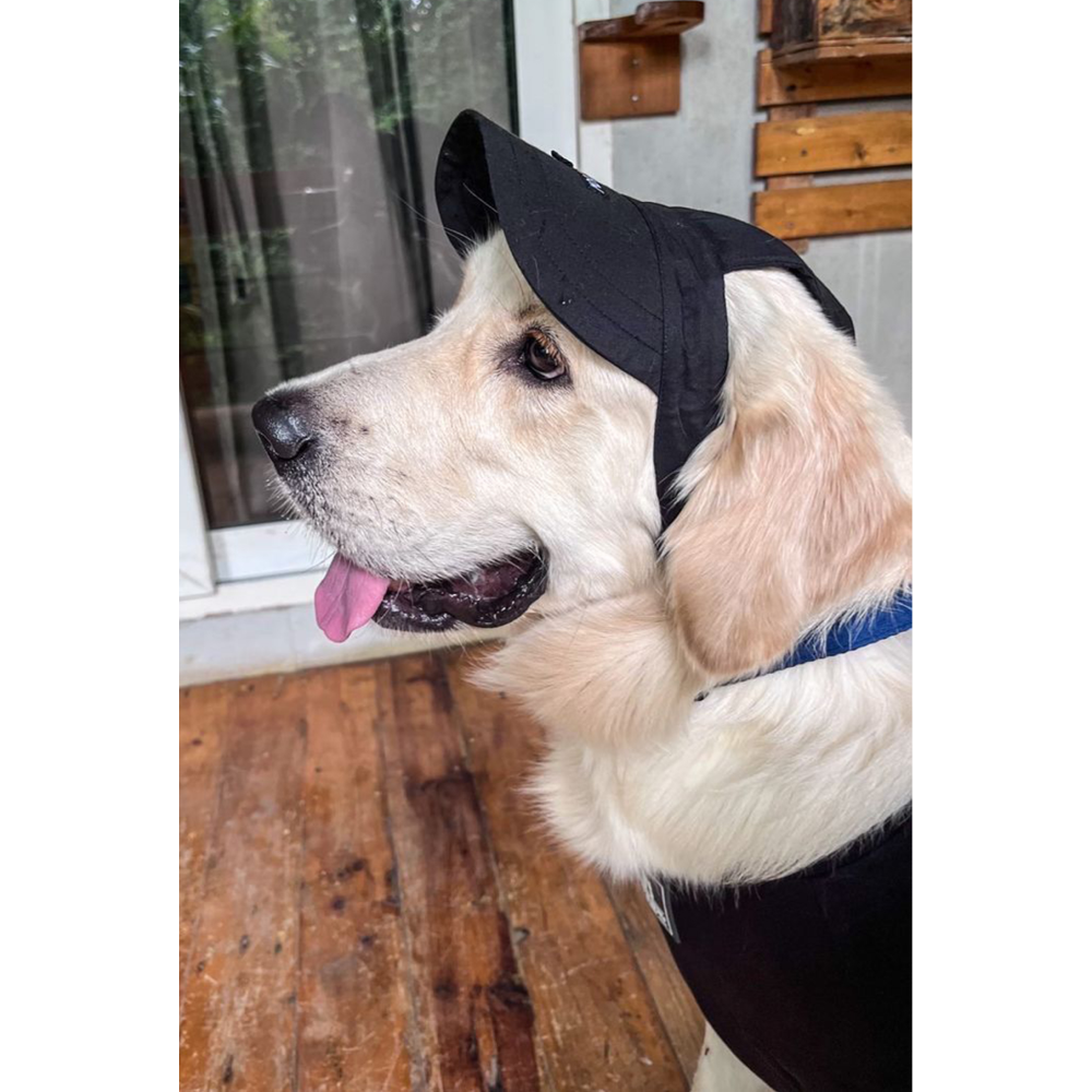 Dogobow Baseball Cap for Dogs (Black) (Get a Bow Free) Dogs-Clothing & Accessories Dogobow Dropship L