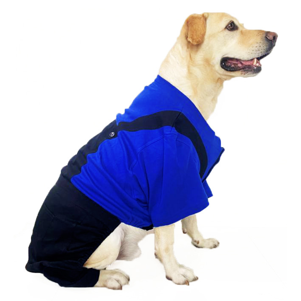 Dogobow Dungaree Dress For Dogs (Blue/Black) (Get a Bow Free)