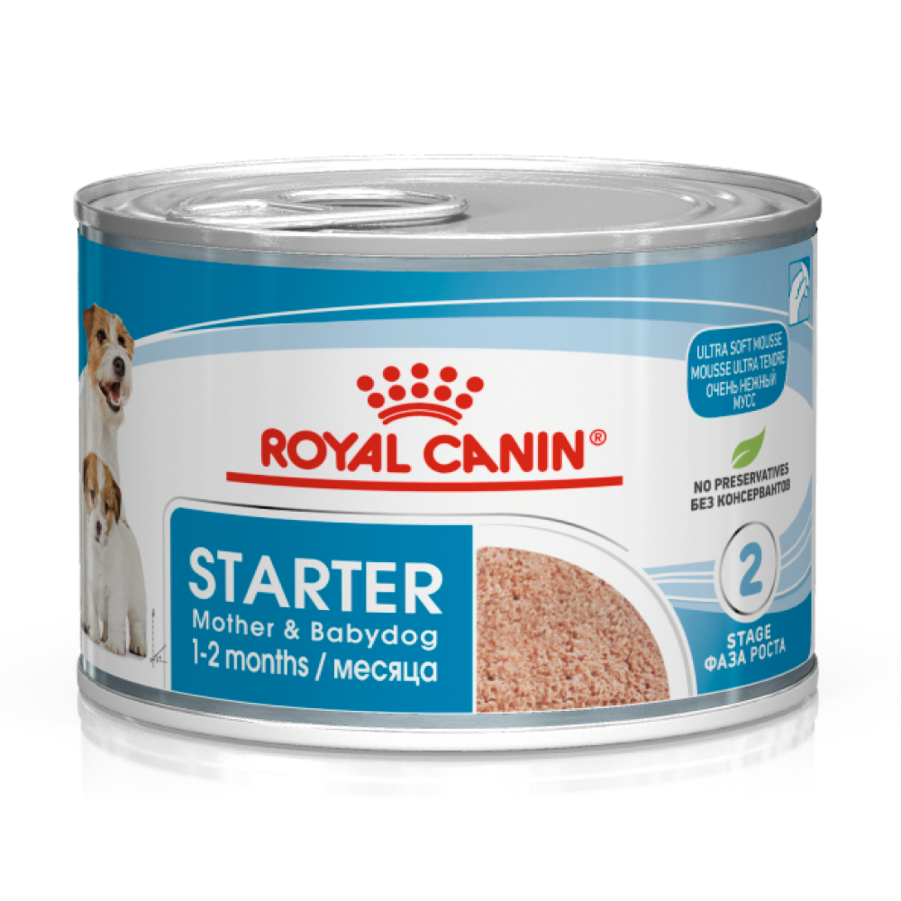 Royal Canin Mousse Mother and Baby Starter Dog Wet Food Dogs-Wet Food Royal Canin