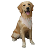Floof & Co Cotton Tux Bandana for Dogs (Peach) Dogs-Clothing & Accessories Floof & Co Dropship S