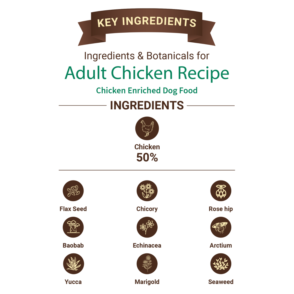 Bruno's Wild Essentials Chicken Recipe Adult Dog Dry Food Dogs- Dry Food Bruno's Wild Essentials