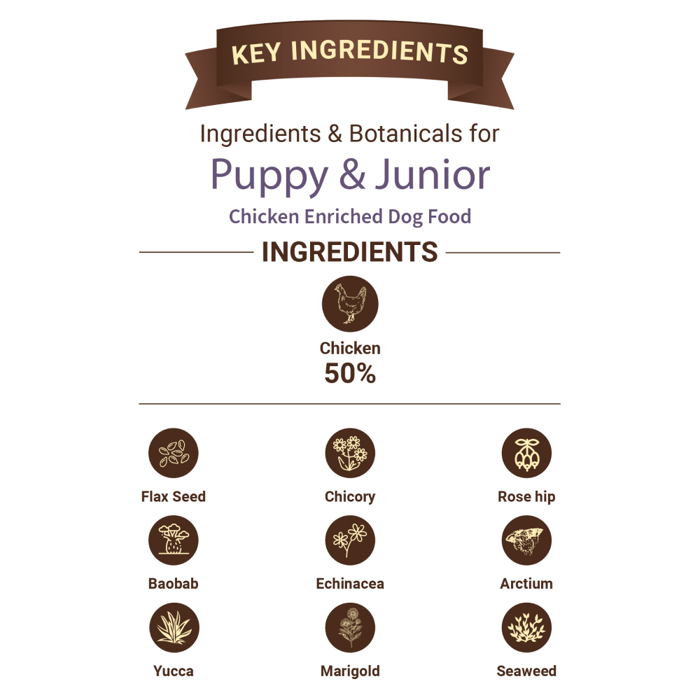 Bruno's Wild Essentials Puppy & Junior Dog Dry Food Dogs- Dry Food Bruno's Wild Essentials