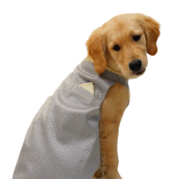 Floof & Co Silk Sherwani for Dogs (Silver & Gold)