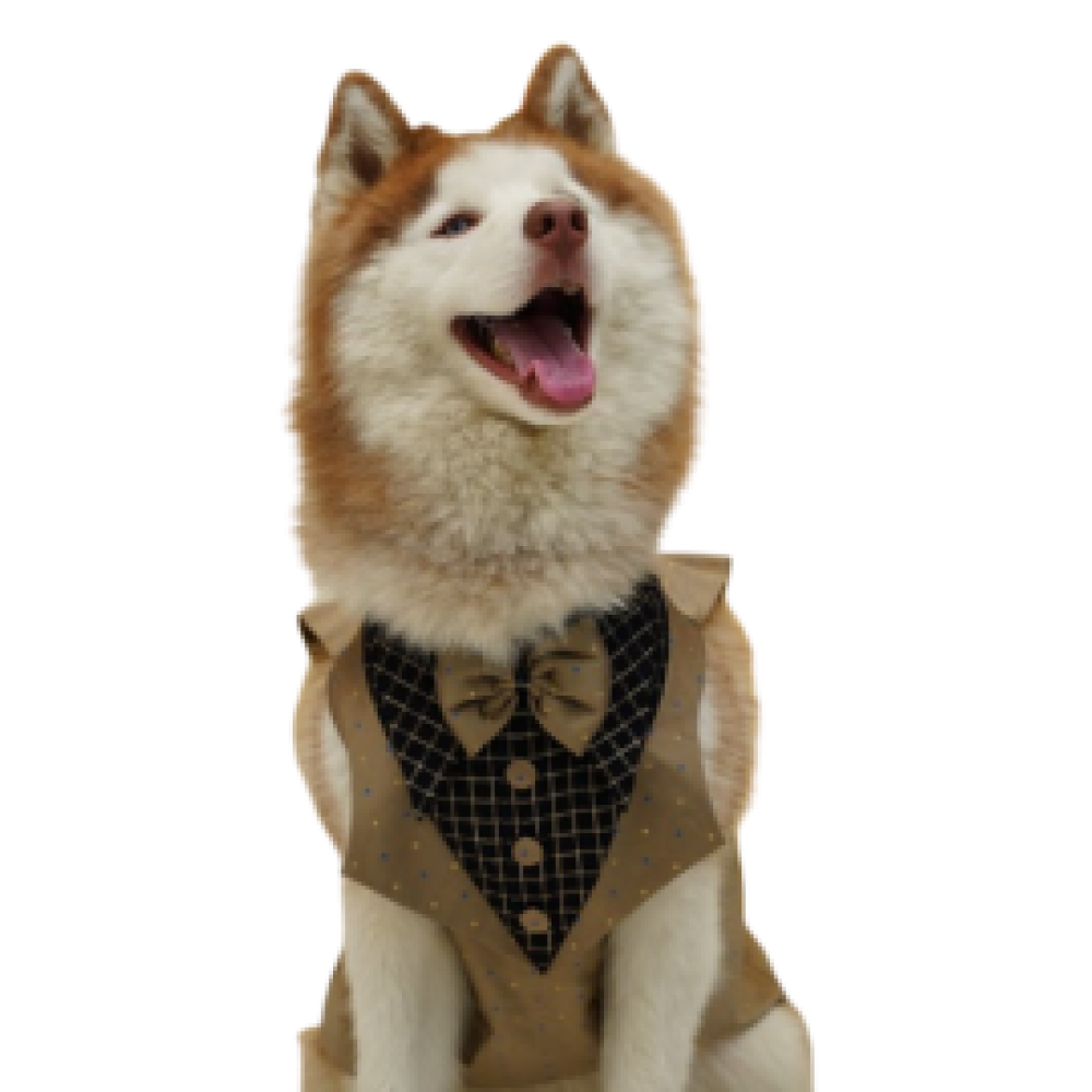 Floof & Co Tuxedo for Dogs (Khaki)