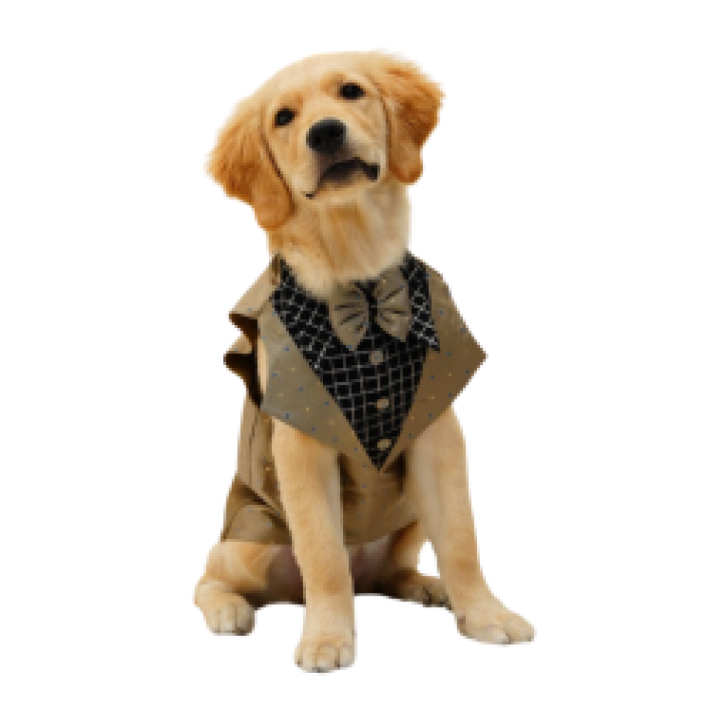 Floof & Co Tuxedo for Dogs (Khaki)