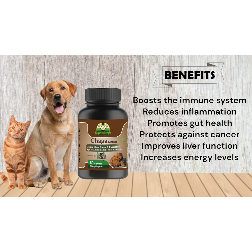Cure By Design Chaga Mushroom Capsules for Dogs and Cats (Limited Shelf Life) Both-Health & Wellness Cure by design