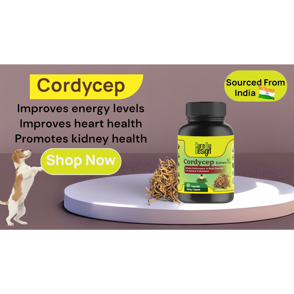 Cure By Design Cordycep Mushroom Capsules for Dogs and Cats Both-Health & Wellness Cure by design