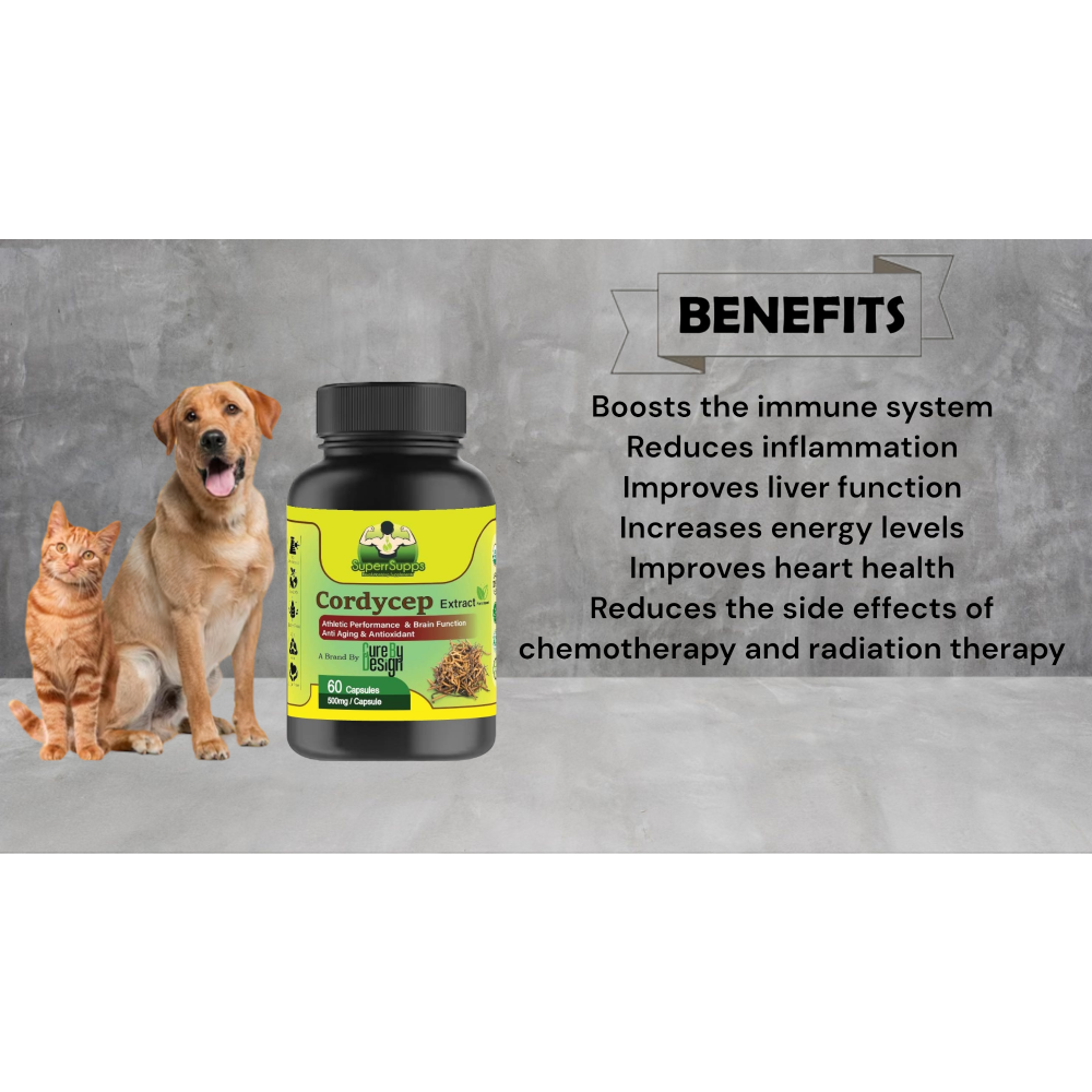 Cure By Design Cordycep Mushroom Capsules for Dogs and Cats Both-Health & Wellness Cure by design