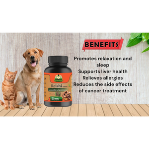 Cure By Design Reishi Mushroom Capsules for Dogs and Cats