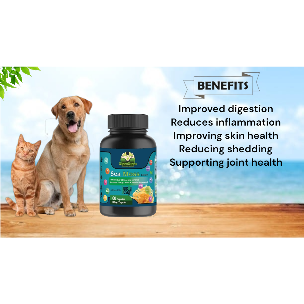 Cure By Design Sea moss Capsules for Dogs and Cats