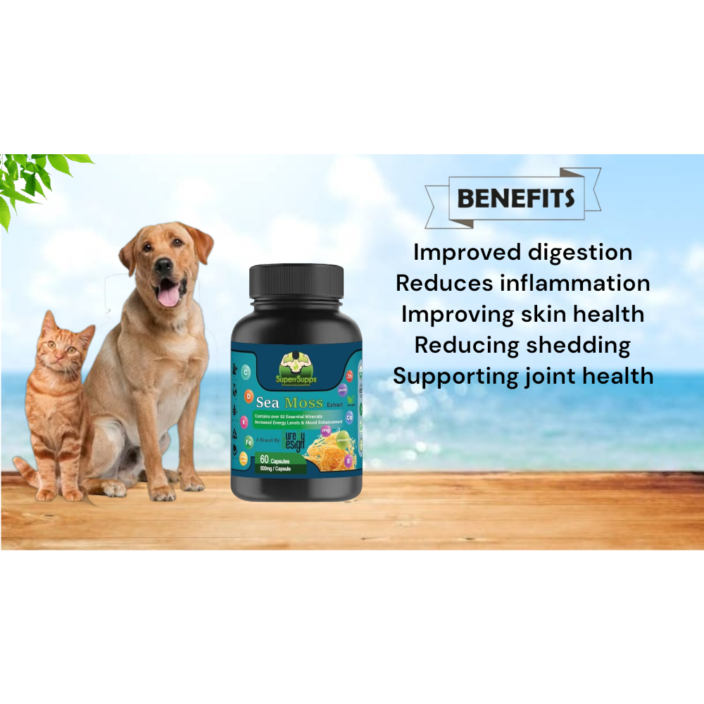 Cure By Design Sea moss Capsules for Dogs and Cats (Limited Shelf Life) Both-Health & Wellness Cure by design