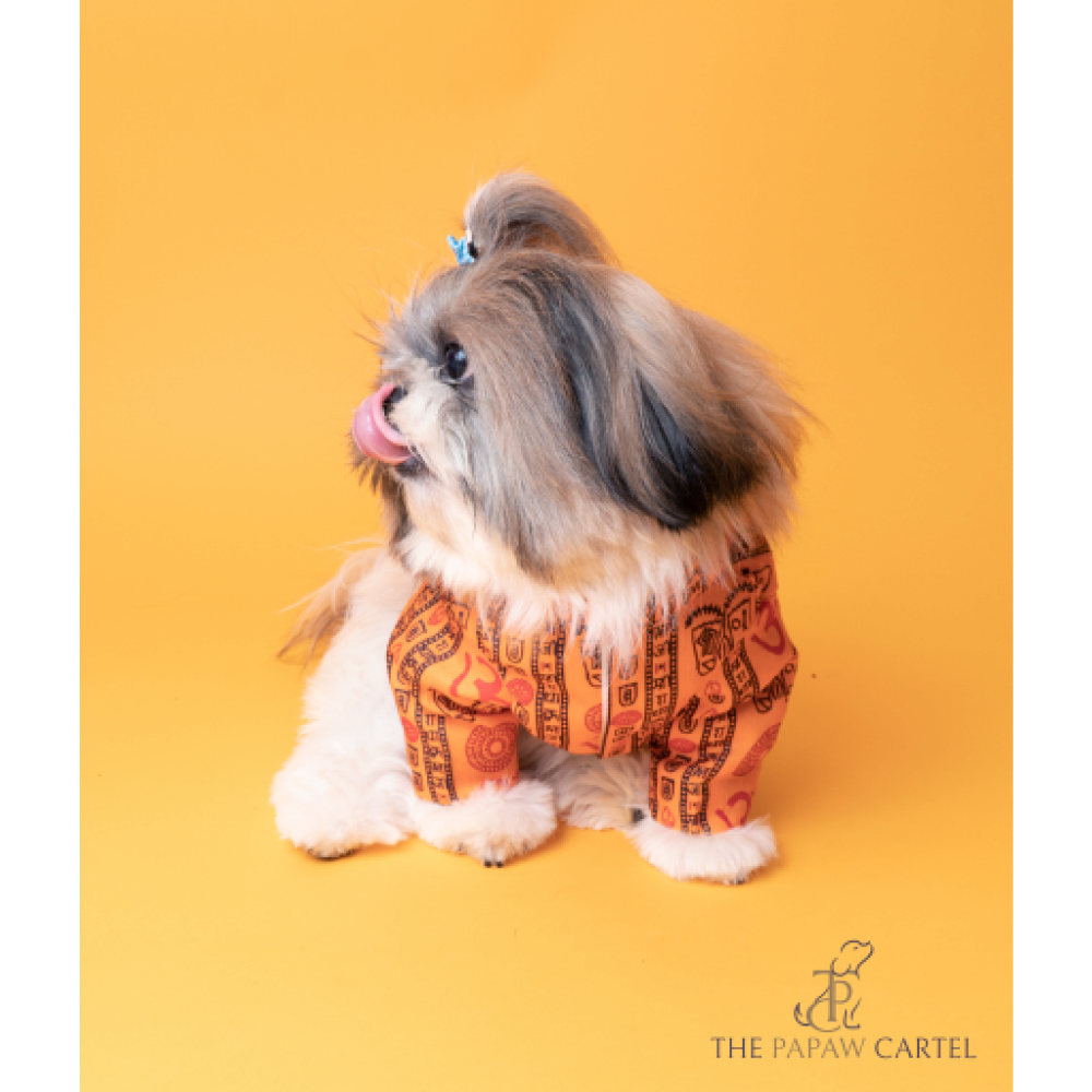 The Papaw Cartel Om Cotton Kurta For Dogs (Orange)