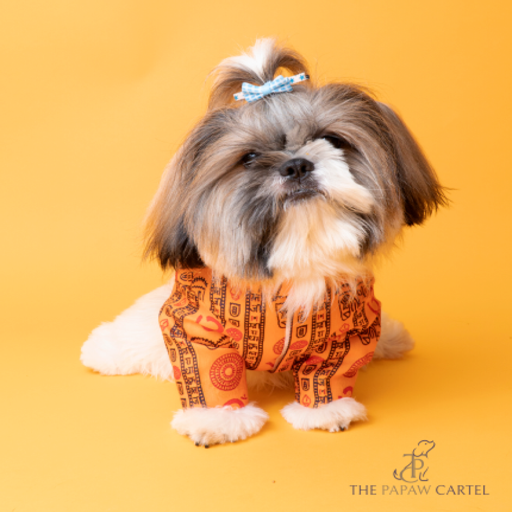 The Papaw Cartel Om Cotton Kurta For Dogs (Orange)