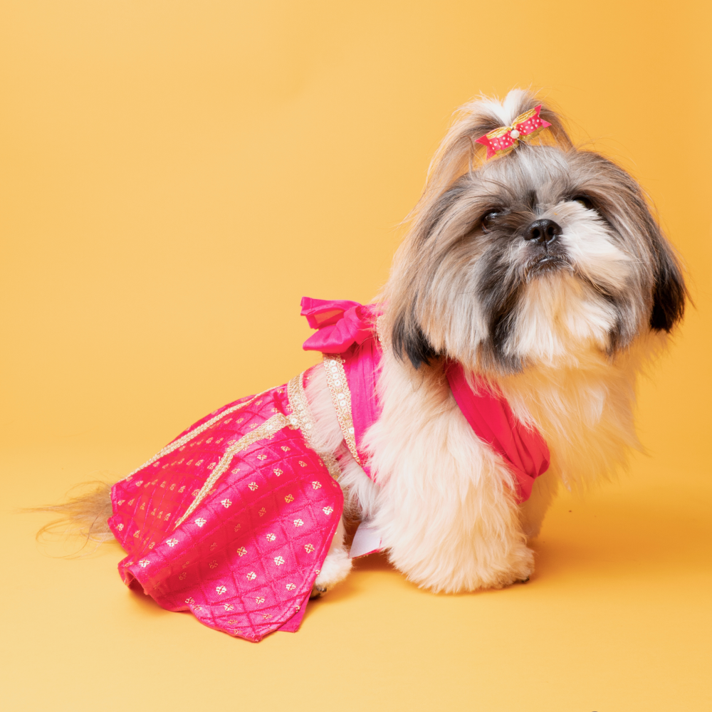 The Papaw Cartel Crossbody Choli With Hot Embroidered Lehenga For Dogs (Pink) Dogs-Clothing & Accessories The Papaw Cartel Dropship S