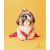 The Papaw Cartel Crossbody Choli With Hot Embroidered Lehenga For Dogs (Pink) Dogs-Clothing & Accessories The Papaw Cartel Dropship