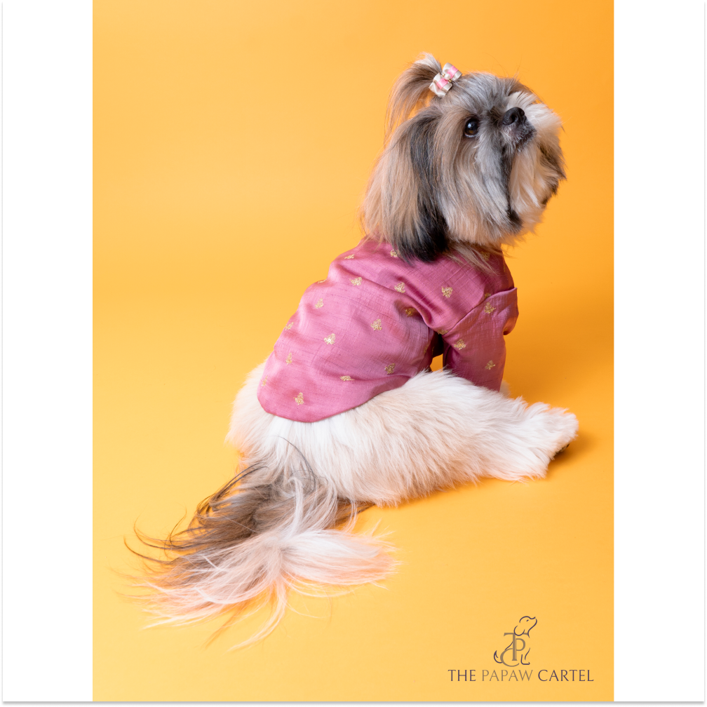 The Papaw Cartel Sequin Embroidered Sherwani For Dogs (Onion Pink)
