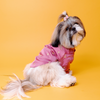 The Papaw Cartel Sequin Embroidered Sherwani For Dogs (Onion Pink)