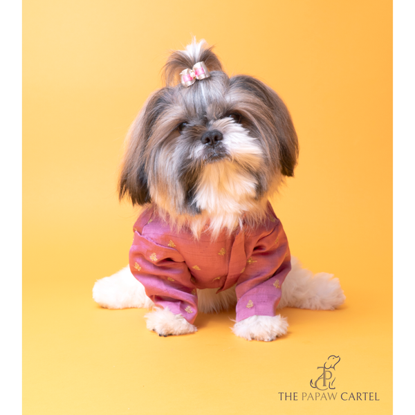 The Papaw Cartel Sequin Embroidered Sherwani For Dogs (Onion Pink)
