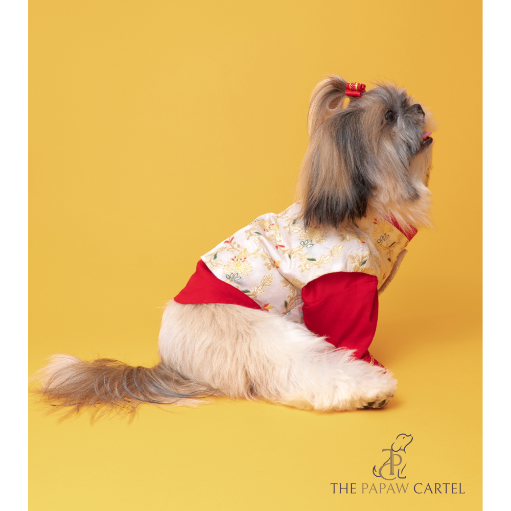The Papaw Cartel Brocade Zari Koti With Gotapati Kurta For Dogs (White and Red) Dogs-Clothing & Accessories The Papaw Cartel Dropship