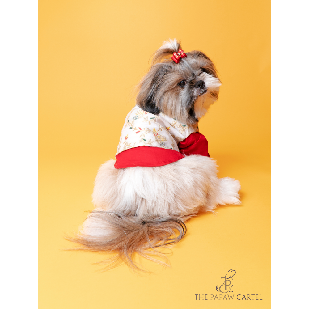 The Papaw Cartel Brocade Zari Koti With Gotapati Kurta For Dogs (White and Red) Dogs-Clothing & Accessories The Papaw Cartel Dropship