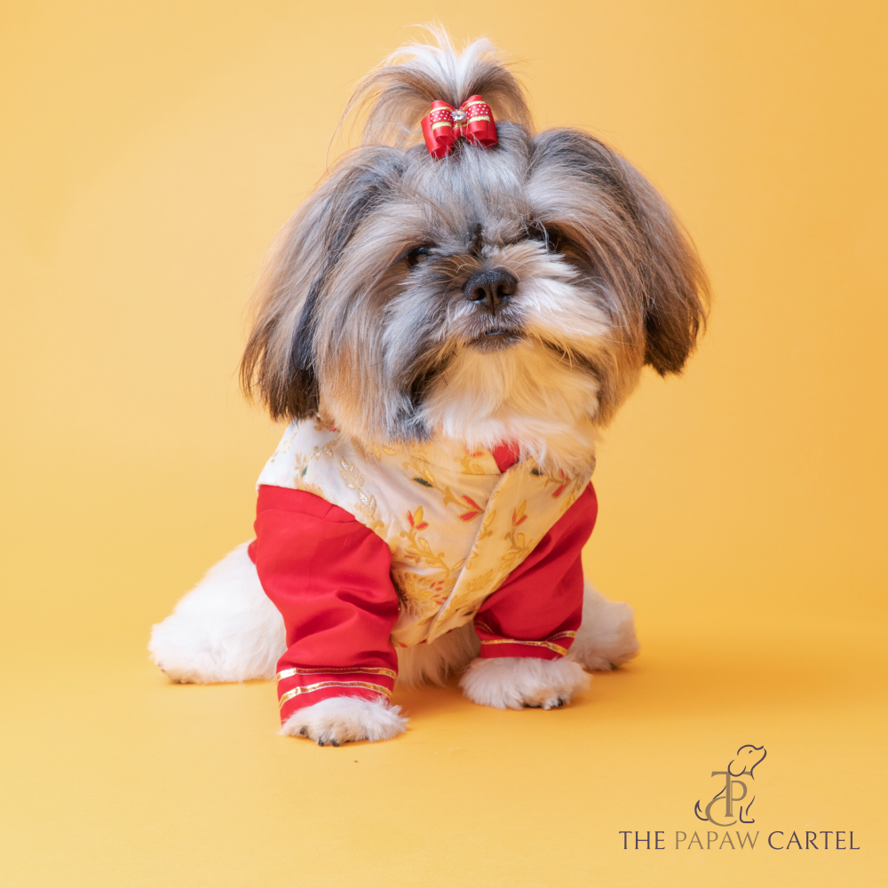 The Papaw Cartel Brocade Zari Koti With Gotapati Kurta For Dogs (White and Red) Dogs-Clothing & Accessories The Papaw Cartel Dropship XL