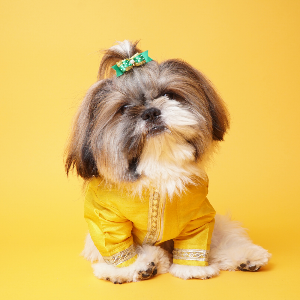 The Papaw Cartel Silk Gotapati Kurta For Dogs (Yellow) Dogs-Clothing & Accessories The Papaw Cartel Dropship M