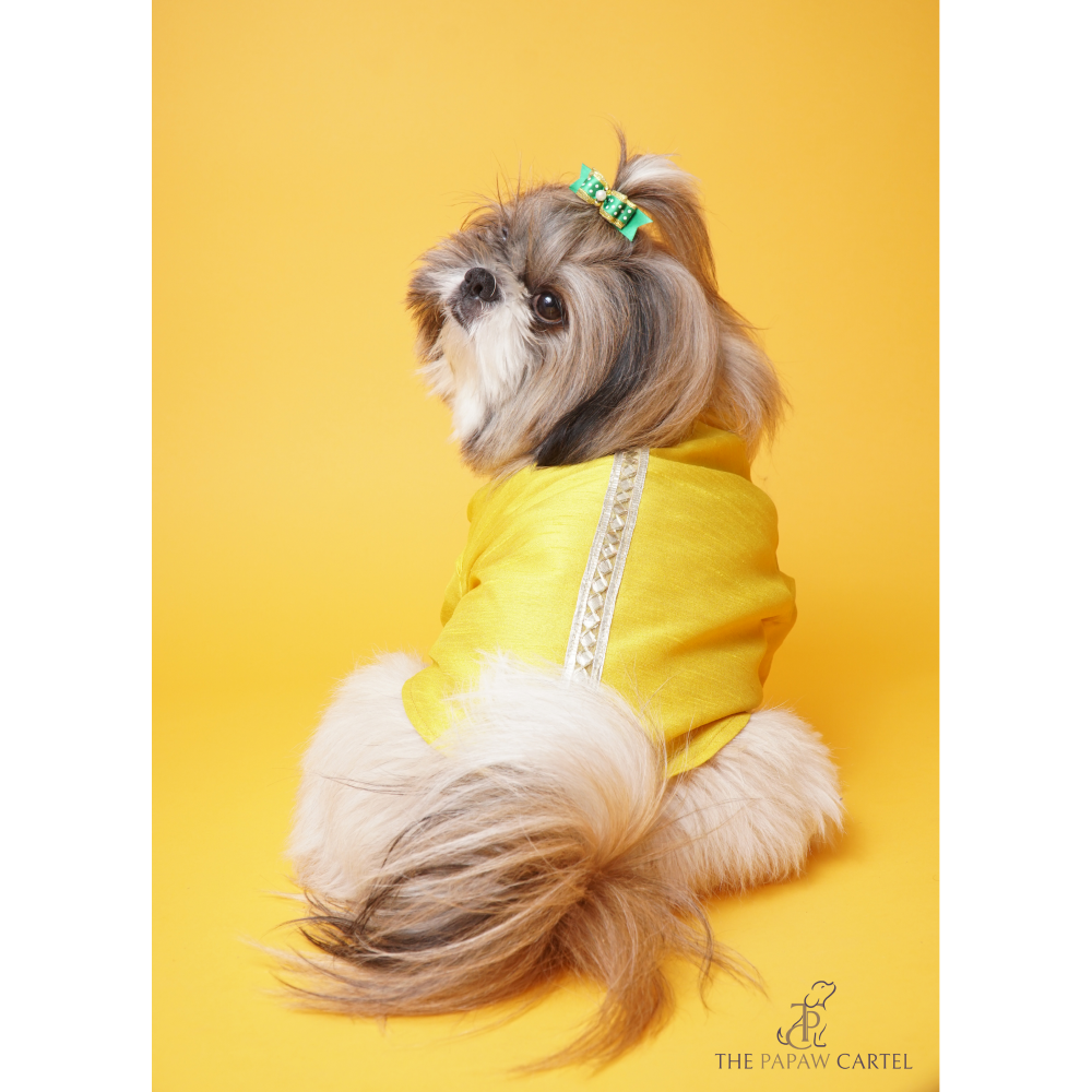 The Papaw Cartel Silk Gotapati Kurta For Dogs (Yellow) Dogs-Clothing & Accessories The Papaw Cartel Dropship